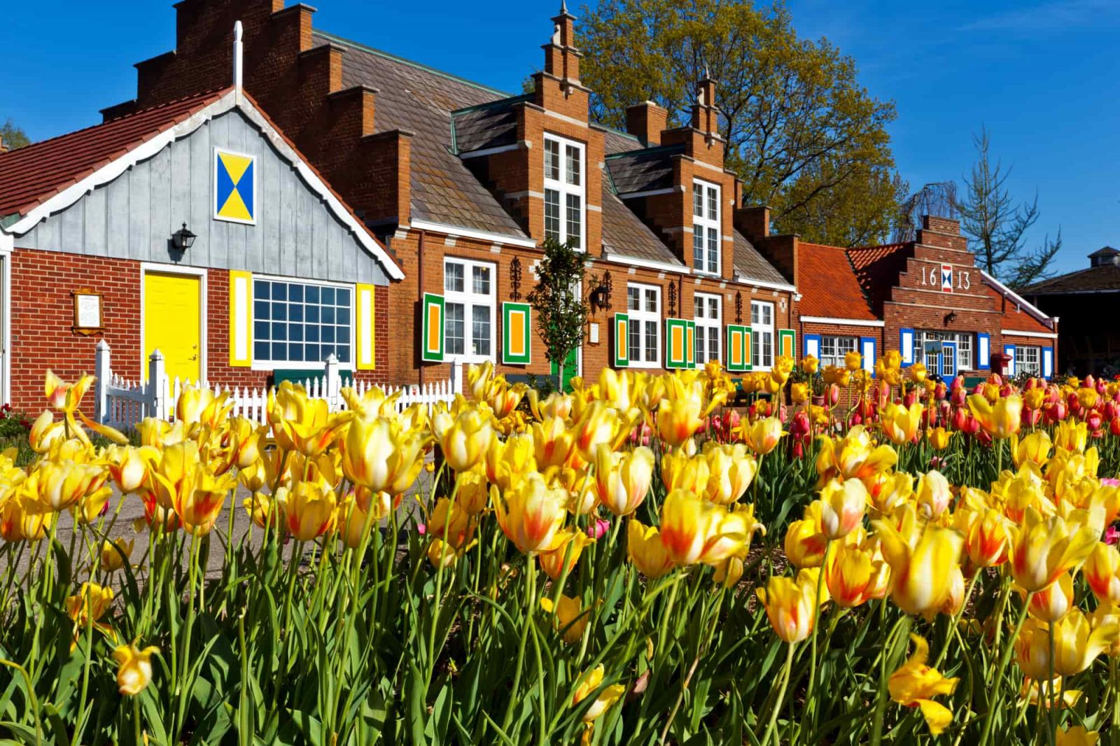 Tulip Festivals Best Locations To Visit All Around The World Rent 'n